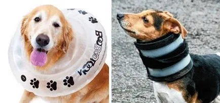 Védőgallér kutyáknak