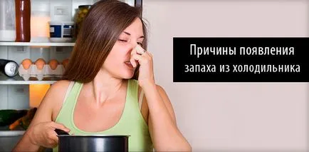 Az illata a hűtőben - Hogyan lehet megszabadulni gyorsan népszerű, és tárolja azt, videók és vélemények