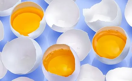 Tojássárgája csecsemők hogyan kell adni, és miért hasznos