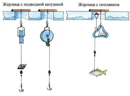 Zherlitsy csuka télen - hogyan