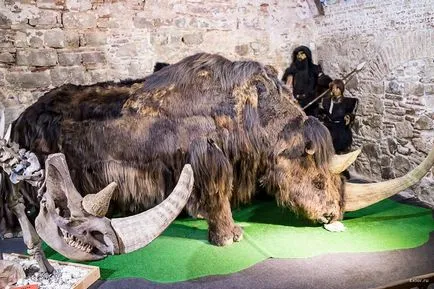 10 Most szokatlan leletek alján a Fekete-tenger Krasznodar terület
