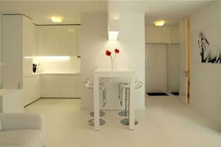 11 Tippek a konyhai berendezések a stúdió apartman (konyha építés lakás-stúdió) 11 Tippek a konyhai berendezések a stúdió lakás