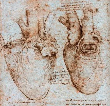 15 felfedezések és találmányok, amelyek részt vesznek a megjelenése a nagy Leonardo da Vinci
