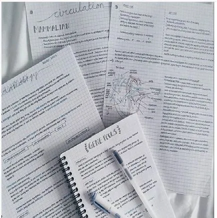 11 titkot, hogyan kell tanulni, hogy memorizálni mindent, és mindig (mindig) 11 titkot, hogyan kell tanulni, hogy memorizálni mindent, és mindig