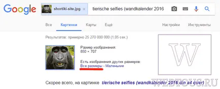 4 Ways, hogy azonnal megtalálja hasonló képet vagy fotót az interneten, ingyenes online szolgáltatás