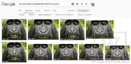 4 Ways, hogy azonnal megtalálja hasonló képet vagy fotót az interneten, ingyenes online szolgáltatás