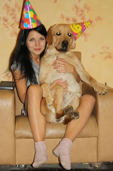 27 fotókat, bizonyítva, hogy Labrador - az ember legjobb barátja