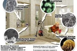 Allergia a baba bőrét tünetei és kezelése népi jogorvoslat és a gyógyszeres kezelés (videó) (allergia) Allergia a baba bőrét tünetei és kezelése népi jogorvoslat és a gyógyszeres kezelés (videó)