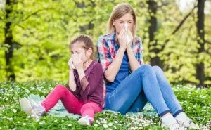 Allergiás betegségek, fajták és a kezelés