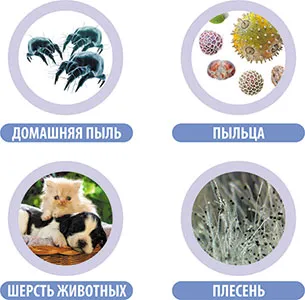 Allergia és a krónikus allergiás megbetegedések - a vállalat szibériai egészségügyi (betegség) Allergia és a krónikus allergiás megbetegedések - a vállalat szibériai egészségügyi