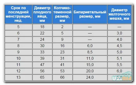 Terhesség hétről hétre ultrahang; a méret a gyümölcs, asztal (táblázat) Terhesség hétről hétre ultrahang; a méret a magzat, a táblázat