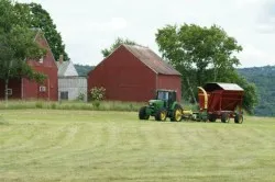 Farm üzleti terv