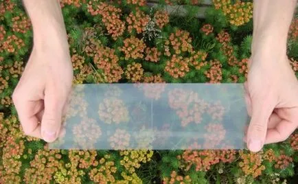Fájdalom a közös törés után, miért a fájdalom továbbra is fennáll, és mit kell tenni (a fájdalom) Fájdalom a közös törés után, miért a fájdalom továbbra is fennáll, és mit kell tenni