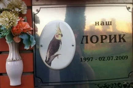 temető üzleti tervét az állatok, hogyan kell megnyitni egy kisállat temető