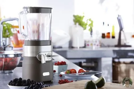 Blender álló - melyik a jobb, hogy válasszon értékelés (kiválasztás) Blender álló - melyik a jobb választani vélemények