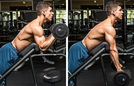 Brachialis - hatékony gyakorlatok a munka révén (post fordított markolat) Brachialis - hatékony gyakorlatok kidolgozására
