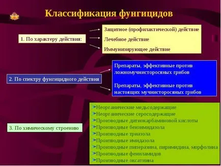 Küzdelem gomba a falakon az épület, építés és az emberek pénzét (a ház) Küzdelem gomba a falakon az épület, építési és népi jogorvoslati