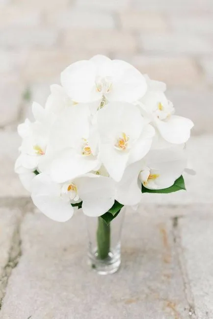 Menyasszonyi csokor orchidea luxus méltó istennők kezük