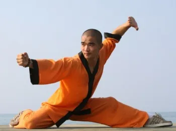 Hogyan lehet megtanulni kung fu otthon Hogyan lehet megtanulni kung fu otthon