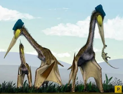 Hogyan alakult ki a dinoszauruszok
