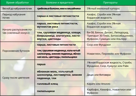 A folyamat alma tavasz
