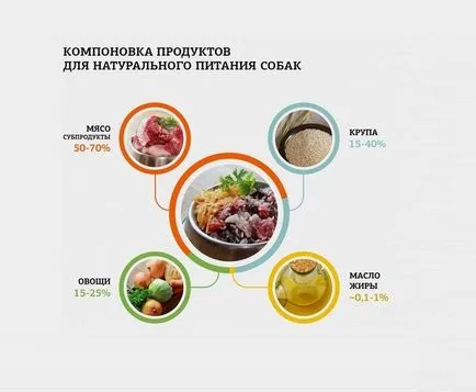 Mi a takarmány egy kutya otthon korcs feltételek listáját, kicsi, hő (feed) Mi a takarmány egy kutya otthon korcs feltételek listáját, kicsi, hő