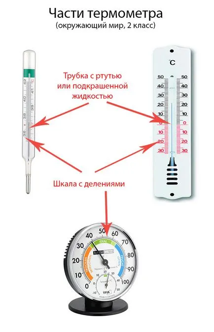 hőmérő rész (2 osztály, a világ), a hangszóró (részben) hőmérő rész (2 osztály, a világ), a hangszóró