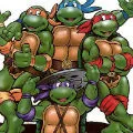 Teenage Mutant Ninja Turtles, Netlore Ninja Turtles, vallási karakter, karikatúrák