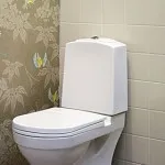 Hogyan díszíteni a falat a WC lehetőség a befejező anyagok (opció) Hogyan díszítik a falakat a wc lehetőség a befejező anyagok