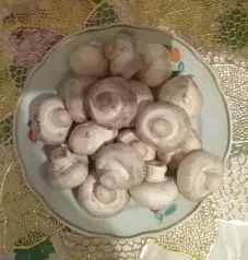 Mennyire hasznos gombát gombával