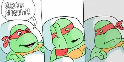 Teenage Mutant Ninja Turtles, Netlore Ninja Turtles, vallási karakter, karikatúrák