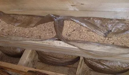 A meleg falakon belül tippeket otthonában (belső) A meleg falak a házban tippeket