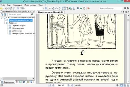 A nyitott FB2, hogyan kell olvasni az e-könyvek a számítógépen
