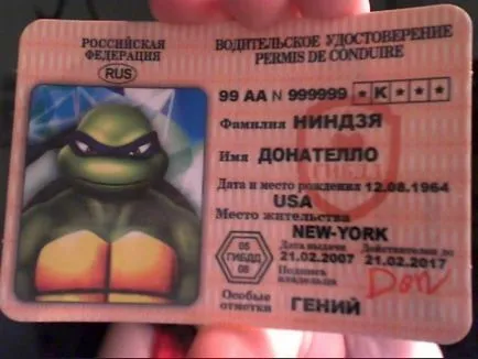 Teenage Mutant Ninja Turtles, Netlore Ninja Turtles, vallási karakter, karikatúrák