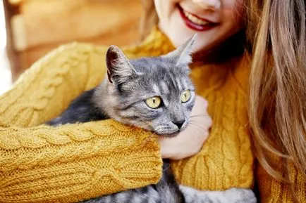 Mi a teendő, ha egy macska muri (do) Mi a teendő, ha egy macska muri