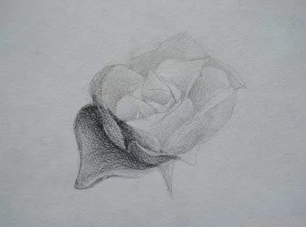 A lencsén keresztül, mint egy ceruza felhívni a rózsa (rose) A lencsén keresztül, mint egy ceruza felhívni a rózsa