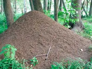 Mit jelentenek a szellemek a világ más, a médiumokat