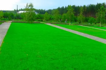 Mit kell tennie, hogy egy szép és egészséges gyep egész évben (gyep saját kezűleg) Mit kell tennie, hogy egy szép és egészséges gyep egész évben