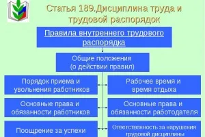 Mi a belső szabályokat a szervezet, és kinek hagyja jóvá (rendeletek) Mi a belső szabályokat a szervezet, és kinek jóváhagyták