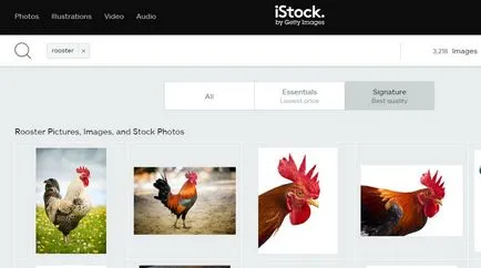 Mi microstock, photostocks, microstock