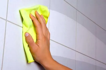 Amely magában foglalja a napi takarítása, tippek, trükkök, utasítások (tipp) Amely magában foglalja a napi takarítása, tippek, trükkök, utasítások