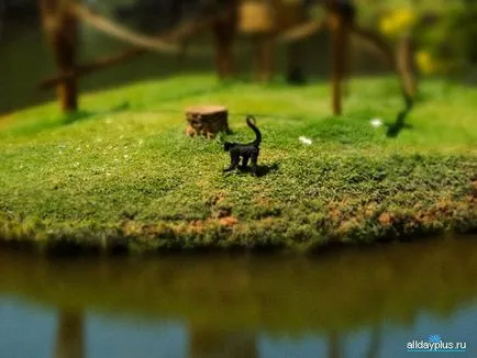 Mi a tilt-shift