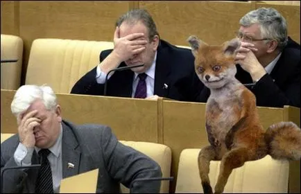 Madárijesztő ül róka - a népszerű mém Runet
