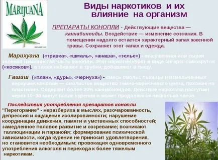 Hatása a marihuána a testen