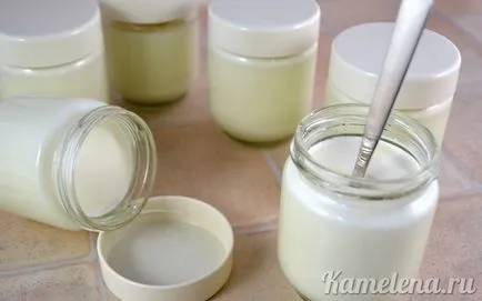 Házi joghurt joghurt