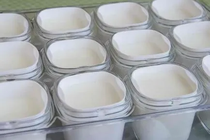 Házi joghurt és a túró joghurt