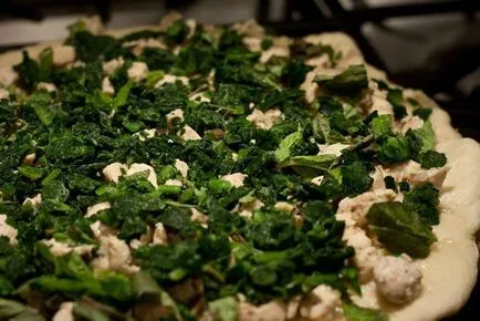 Házi pizza csirkével és sajttal - egy egyszerű recept (recept) Házi pizza csirkével és sajttal - egy egyszerű recept