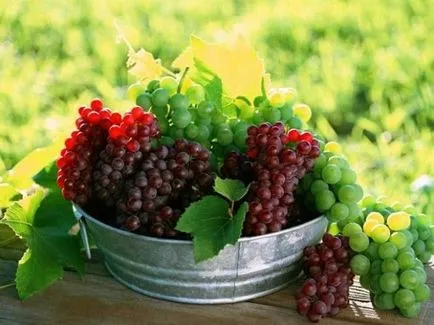 Házi bor a szőlő a legjobb lépésről lépésre recept részletek