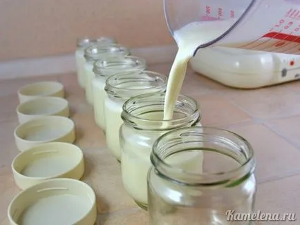 Házi joghurt joghurt