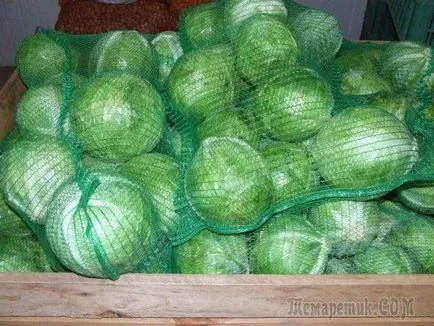 Hatékony tárolás káposzta a tél
